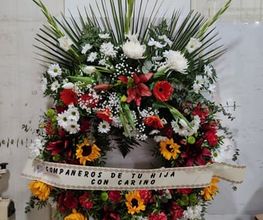 Floristería María Eugenia imagen 8