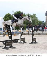 Centre Equestre De Sully image 3