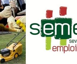 SEMES Sèvre et Maine Emploi Solidaire image 1