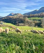 La Ferme Bidalot image 1