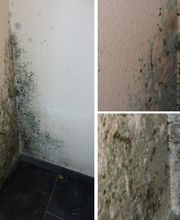 Schadenservice-Glahé Bild 2