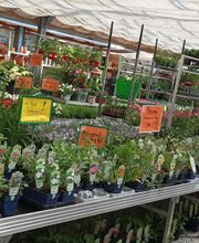 HORNBACH Ingolstadt Bild 8