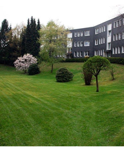 Hausmeisterservice K+K Bild 10