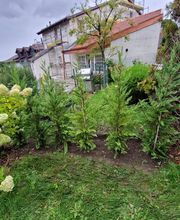 Cardoso Sàrl Paysagisme & Maçonnerie Bild 4