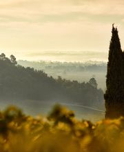 Château Rochebelle image 5