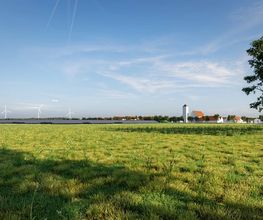 Photovoltaik Landschaftsarchitektur - Alexander Tschopoff | Visualisierung & Design | Designagentur Nürnberg
