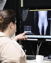Levittown Animal Hospital image 2
