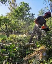 Emery Paysages SARL image 2