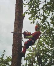 Pierre Elagage et Paysage image 15