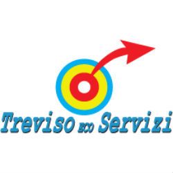 Treviso Ecoservizi logo