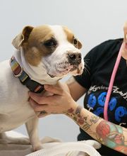 Walnut Creek Veterinary Clinic image 9