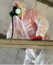MT Diagnostics image 3