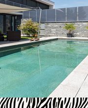 Zebra AG Garten & Pool Bild 6