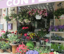 Conter Fleurette image 2