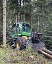 B Bois Forêts image 5