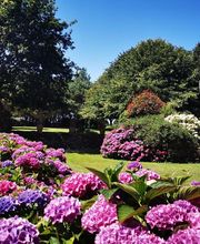 Côté Mer Côté Jardin Immobilier image 5