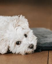 Madeleine Krüger Fotografie Bild 2