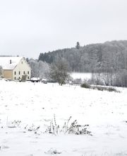 La Trottelée image 11