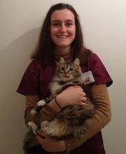 Clinique vétérinaire PK3 image 5