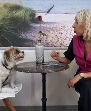 Hundesalon Farah Bild 2