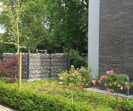 Werner Pöpping Gartengestaltung Bild 7