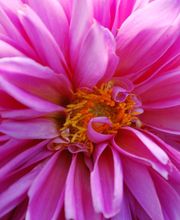 Hortum Jardins naturels image 7