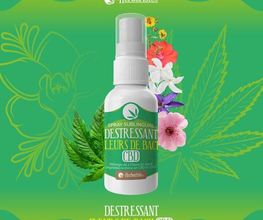 L'AIR DE LA VAPE ET CBD image 5