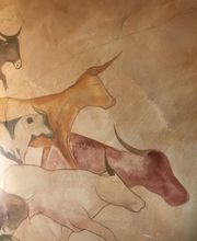 Malerbetrieb Michael Morbitzer mimo-design Bild 4