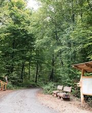 FriedWald Wiesenbach Bild 6