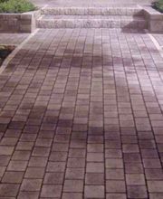 Gartenbau Anton Siemens Köln