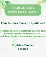 La Petite Plante image 9