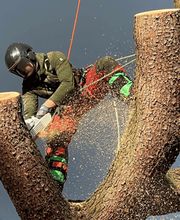 Alles-Im-Seil Bild 5