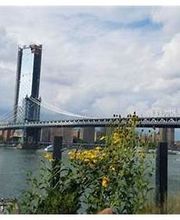 DUMBO House image 16