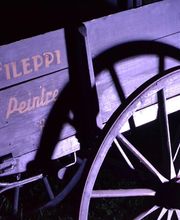 Daniel Fileppi SARL image 1