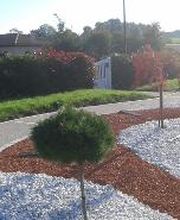 Daniel Moquet signe vos allées - Ent. Talon image 11