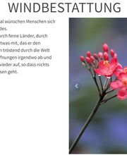 Bestattungsdienst Timon Wälchli GmbH Bild 13