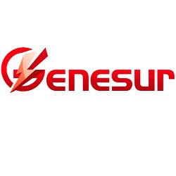 logo-gemesur.png