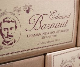 CHAMPAGNE BARNAUT image 8