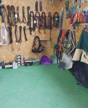 SAZ ANCHUELO PIENSOS imagen 2