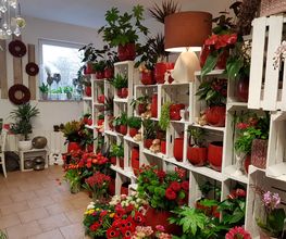 Rosenthal - DAS BLUMENGESCHÄFT Bild 4
