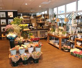 Blumen Interfleur Floristik & Wohnaccessoires Bild 4