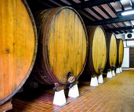 Sidra Riestra imagen 16