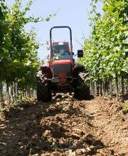 Excavaciones N Roberto Calvo SL imagen 4