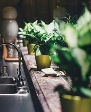 Hyper Cuisines image 10