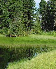 Tassé Rémi image 1