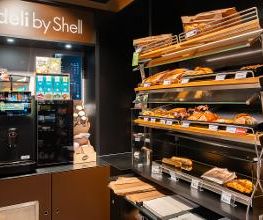 Shell Bild 12