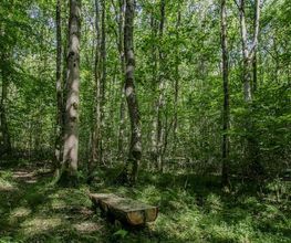 FriedWald Grevesmühlen Bild 8