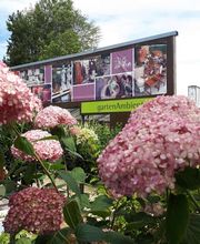 Blumen Hopf Bild 2