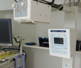 Tierklinik Obergrund AG Bild 4