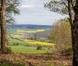 FriedWald Weilrod Bild 6